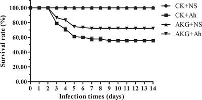 Evaluation of Alpha-Ketoglutarate Supplementation on the Improvement of Intestinal Antioxidant Capacity and Immune Response in Songpu Mirror Carp (Cyprinus carpio) After Infection With <mark class="highlighted">Aeromonas hydrophila</mark>